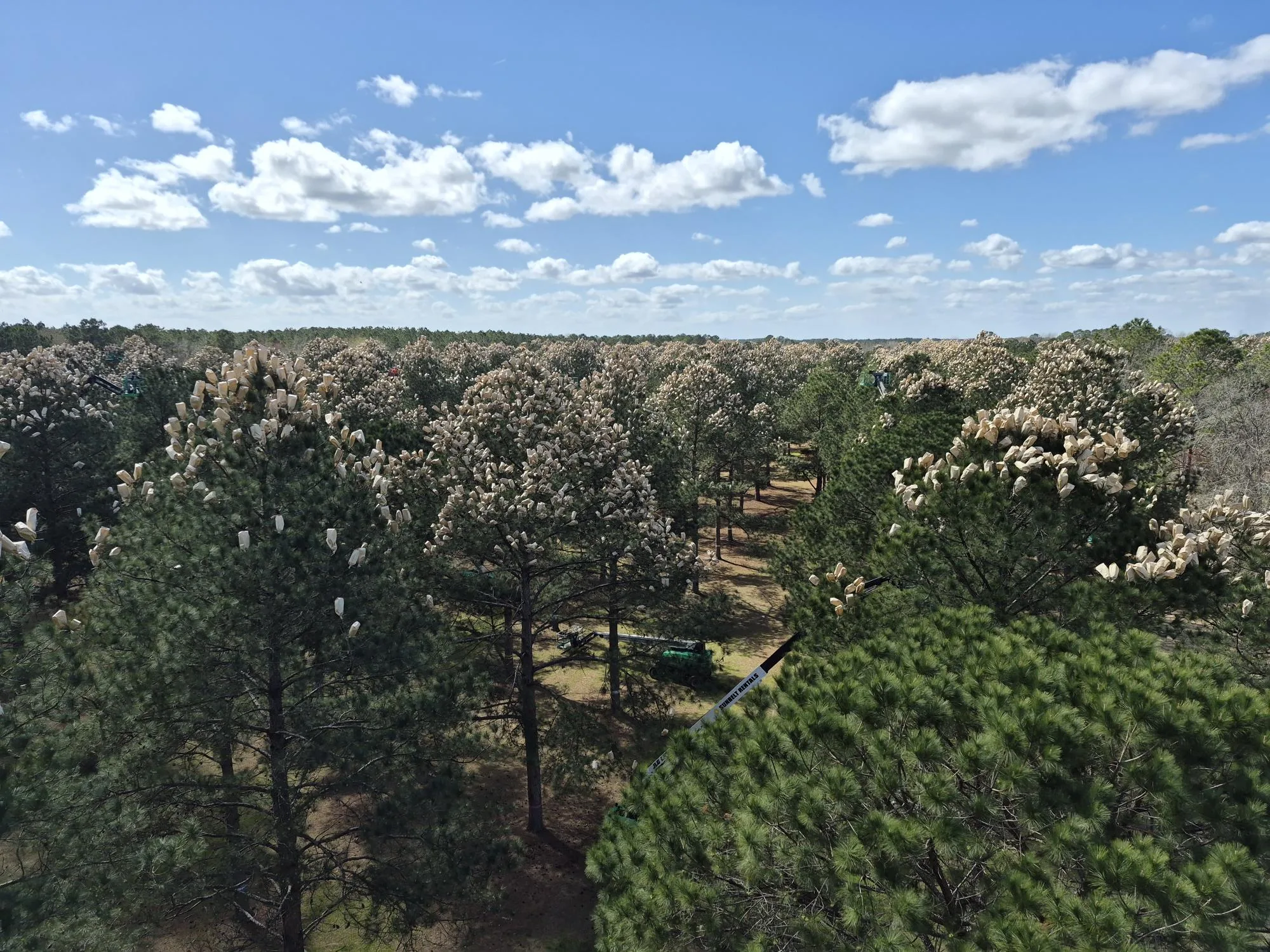 Orchards
